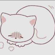 ヒメ日記 2026/01/29 12:08 投稿 こと 大高・大府市・東海市ちゃんこ