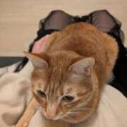 ヒメ日記 2026/02/03 01:33 投稿 こと 大高・大府市・東海市ちゃんこ