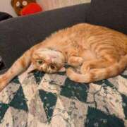 ヒメ日記 2026/02/27 13:13 投稿 こと 大高・大府市・東海市ちゃんこ