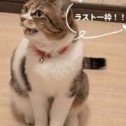 ヒメ日記 2026/03/06 14:53 投稿 こと 大高・大府市・東海市ちゃんこ