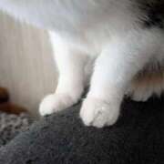 ヒメ日記 2026/03/11 16:33 投稿 こと 大高・大府市・東海市ちゃんこ