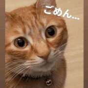 ヒメ日記 2026/03/19 13:23 投稿 こと 大高・大府市・東海市ちゃんこ