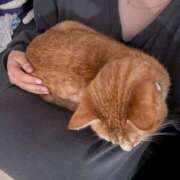 ヒメ日記 2026/03/24 02:23 投稿 こと 大高・大府市・東海市ちゃんこ