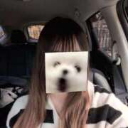 ヒメ日記 2026/03/28 13:03 投稿 こと 大高・大府市・東海市ちゃんこ