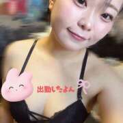 ヒメ日記 2025/12/12 19:06 投稿 あさひ 蒼いうさぎ