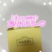 ヒメ日記 2026/02/10 18:54 投稿 和花（わか） ごほうびSPA神戸店