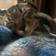 ヒメ日記 2025/12/24 18:48 投稿 アム☆鉄板！未経験18才美少女 エアポート