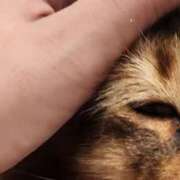 ヒメ日記 2025/10/21 12:18 投稿 牧島ちさと 千葉快楽Ｍ性感倶楽部～前立腺マッサージ専門～