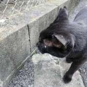 ヒメ日記 2025/10/30 08:49 投稿 牧島ちさと 千葉快楽Ｍ性感倶楽部～前立腺マッサージ専門～