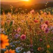 ヒメ日記 2025/11/10 15:42 投稿 たね 出会い系人妻ネットワーク さいたま～大宮編