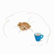 ヒメ日記 2025/11/26 23:32 投稿 たね 出会い系人妻ネットワーク さいたま～大宮編