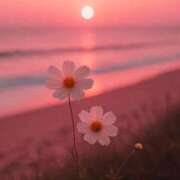 ヒメ日記 2025/11/28 00:02 投稿 たね 出会い系人妻ネットワーク さいたま～大宮編