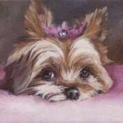 ヒメ日記 2025/11/30 23:12 投稿 たね 出会い系人妻ネットワーク さいたま～大宮編