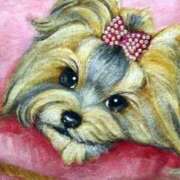 ヒメ日記 2025/12/03 07:42 投稿 たね 出会い系人妻ネットワーク さいたま～大宮編