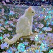 ヒメ日記 2025/12/28 19:32 投稿 たね 出会い系人妻ネットワーク さいたま～大宮編