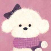 ヒメ日記 2025/12/29 13:12 投稿 たね 出会い系人妻ネットワーク さいたま～大宮編