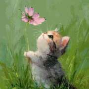 ヒメ日記 2026/01/14 20:42 投稿 たね 出会い系人妻ネットワーク さいたま～大宮編