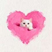 ヒメ日記 2026/01/16 15:32 投稿 たね 出会い系人妻ネットワーク さいたま～大宮編