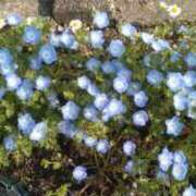 ヒメ日記 2025/12/08 08:27 投稿 れいか 電マナイザー イラマチオン