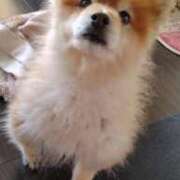 れいか 過去のお題に回答してみました！ 電マナイザー イラマチオン