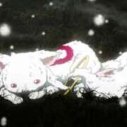 ひかりん 楽しみはまた来週.... ドリーム水戸