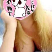 ヒメ日記 2025/10/31 19:51 投稿 No.8100 バイ 札幌ダイナマイト