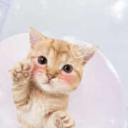 ヒメ日記 2025/11/20 20:01 投稿 ののか【喉奥ご奉仕のAF娘】 なすがママされるがママ 宇都宮