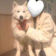 ヒメ日記 2025/11/29 17:27 投稿 まな お姉さんセレブR38