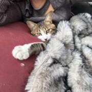 ヒメ日記 2025/12/05 08:33 投稿 楓花-フウカ- お姉さんセレブR38