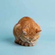 ヒメ日記 2025/12/07 11:51 投稿 悠木 京香 横浜貴楼館