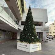 ヒメ日記 2025/12/25 12:21 投稿 悠木 京香 横浜貴楼館