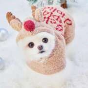 ヒメ日記 2026/01/06 14:21 投稿 悠木 京香 横浜貴楼館