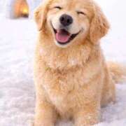 ヒメ日記 2026/02/08 10:01 投稿 悠木 京香 横浜貴楼館