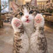 ヒメ日記 2026/02/12 13:21 投稿 悠木 京香 横浜貴楼館