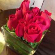 ヒメ日記 2026/02/14 10:21 投稿 悠木 京香 横浜貴楼館