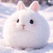 ヒメ日記 2026/02/19 13:21 投稿 悠木 京香 横浜貴楼館