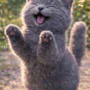 ヒメ日記 2026/03/06 11:51 投稿 悠木 京香 横浜貴楼館