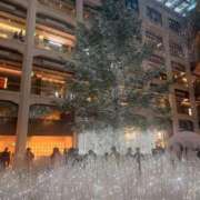 ヒメ日記 2025/11/24 22:31 投稿 篠崎 姫奈 横浜貴楼館