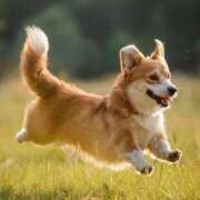 ヒメ日記 2025/12/14 09:09 投稿 悠木 京香 東京貴楼館