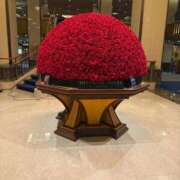 ヒメ日記 2025/12/19 11:09 投稿 悠木 京香 東京貴楼館