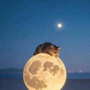 ヒメ日記 2026/01/11 10:49 投稿 悠木 京香 東京貴楼館