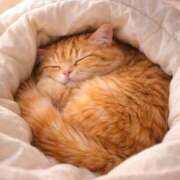 ヒメ日記 2026/02/01 13:19 投稿 悠木 京香 東京貴楼館