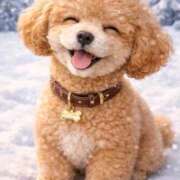 ヒメ日記 2026/02/07 17:29 投稿 悠木 京香 東京貴楼館