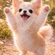 悠木 京香 WBC直前の◯◯ 東京貴楼館