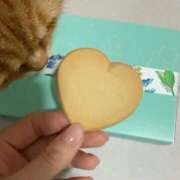 ヒメ日記 2026/03/11 19:29 投稿 悠木 京香 東京貴楼館