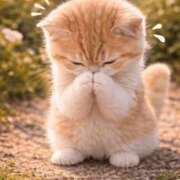 ヒメ日記 2026/03/16 13:09 投稿 悠木 京香 東京貴楼館