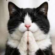 ヒメ日記 2026/03/19 17:29 投稿 悠木 京香 東京貴楼館