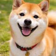 ヒメ日記 2026/03/27 19:19 投稿 悠木 京香 東京貴楼館