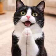 ヒメ日記 2026/03/28 13:09 投稿 悠木 京香 東京貴楼館