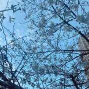 ヒメ日記 2026/03/29 17:09 投稿 悠木 京香 東京貴楼館